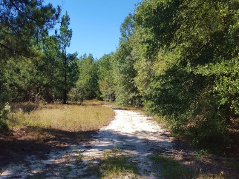 754 +/- Acres in Aiken : Aiken : Aiken County : South Carolina