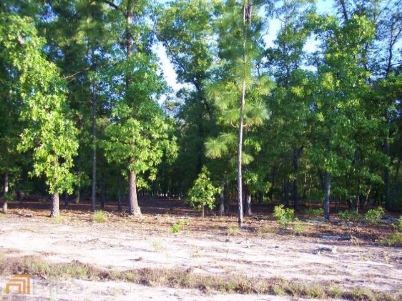 Beautiful Residential Lot : Blackshear : Pierce County : Georgia