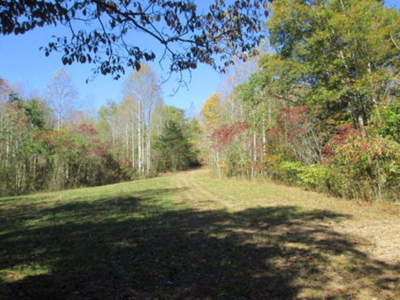 11.43 Wooded Acres : Columbia : Adair County : Kentucky