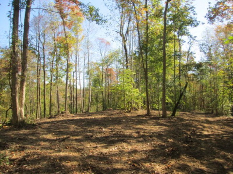 48.54 Wooded Acres : Columbia : Adair County : Kentucky