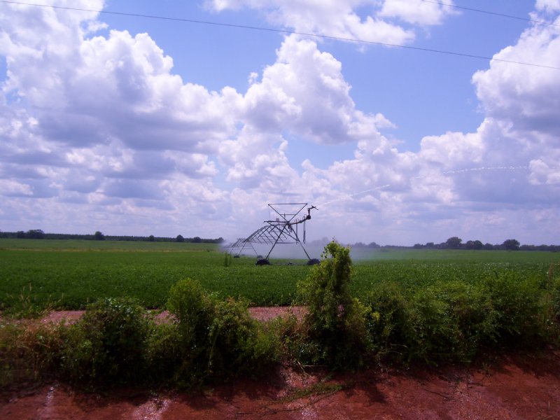 Irrigated Farm : Blakely : Early County : Georgia
