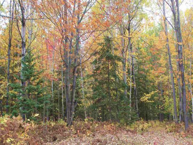 Skanee Rd., Mls 1090896 : Arvon : Baraga County : Michigan