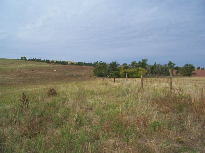 Sheridan County Grass & Crp : Rushville : Sheridan County : Nebraska
