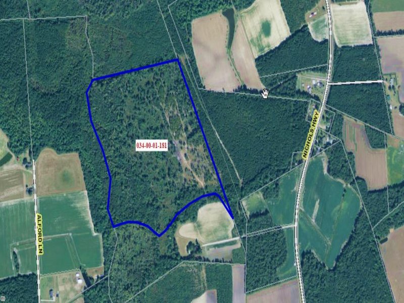 56.50 Acres Farm and Woods Land : Garden City : Horry County : South Carolina