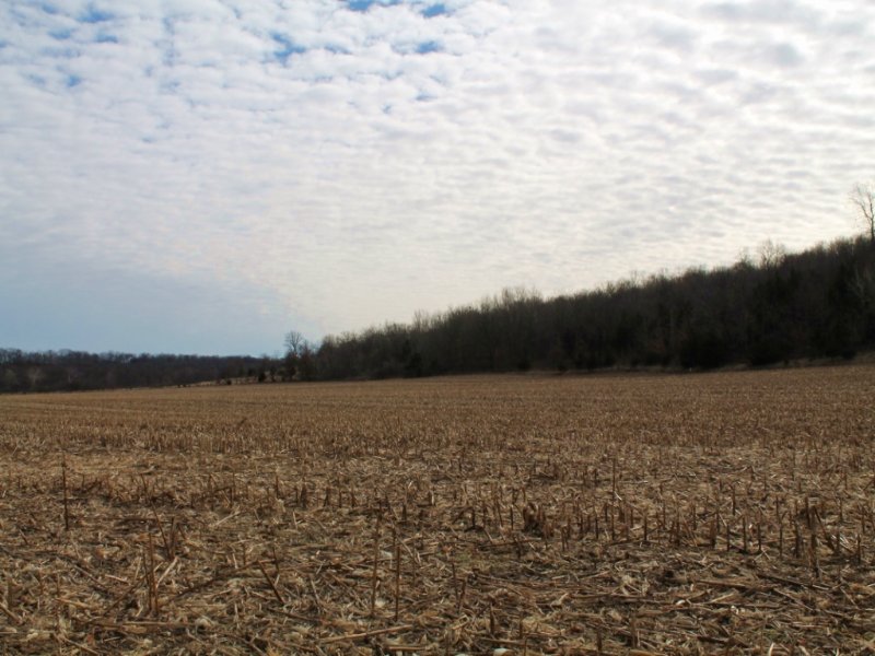 92 Acres : Madisonville : Ralls County : Missouri