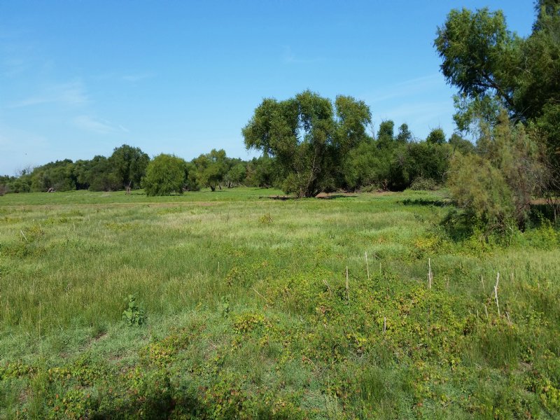 Red River 421 : Waurika : Jefferson County : Oklahoma