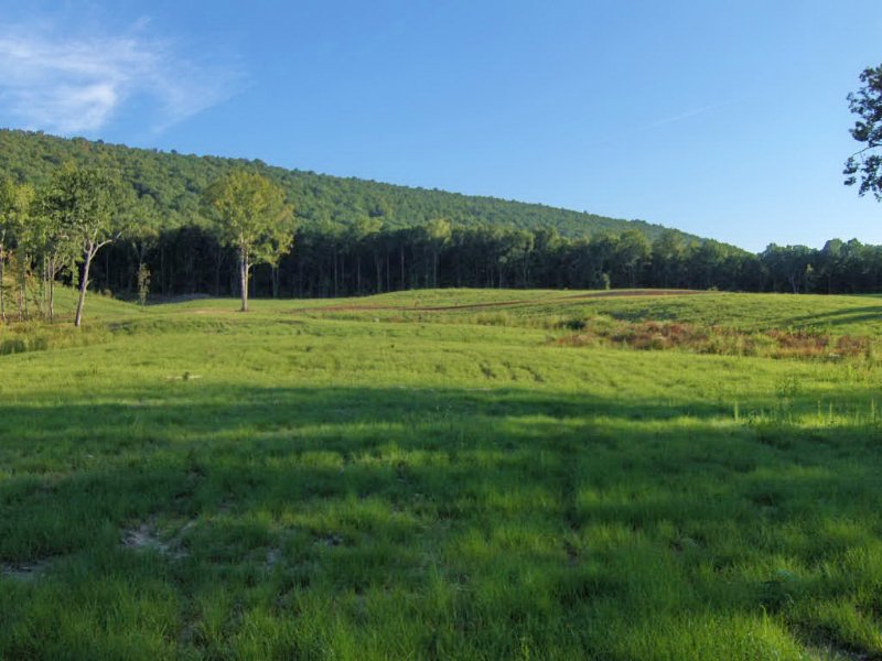 Highway 119 Tract : Birmingham : Jefferson County : Alabama