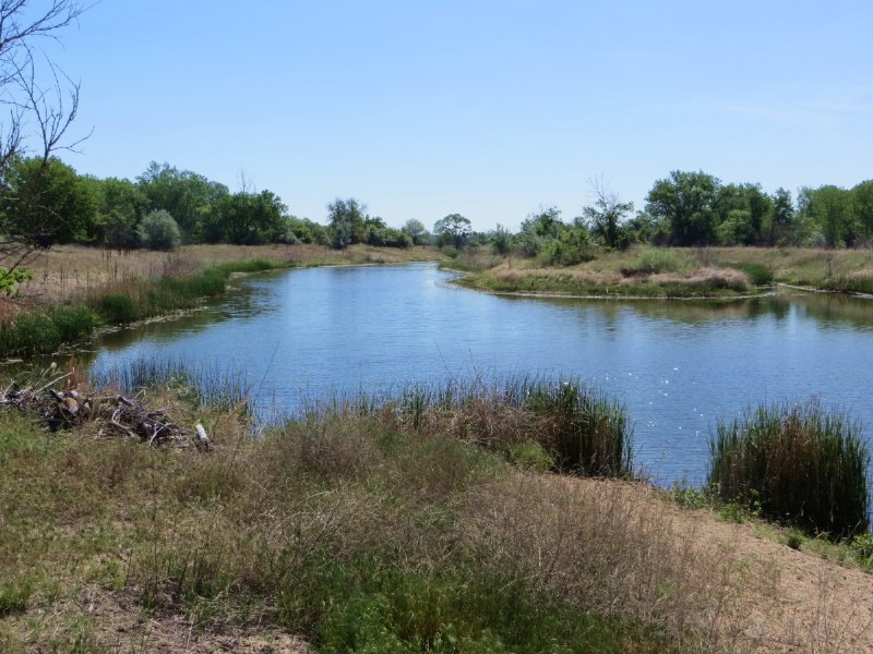Birdwood Creek Island East : Hershey : Lincoln County : Nebraska