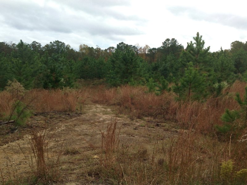 153.24 Acres : McCormick : McCormick County : South Carolina