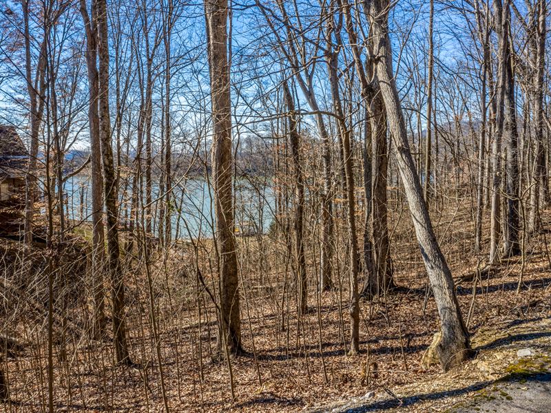 Cherokee Lakefront Lot for Sale : Mooresburg : Hawkins County : Tennessee