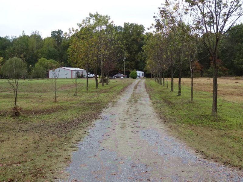 2,400 Sq Ft Cabin Near Bayou Meto : Humphrey : Arkansas County : Arkansas