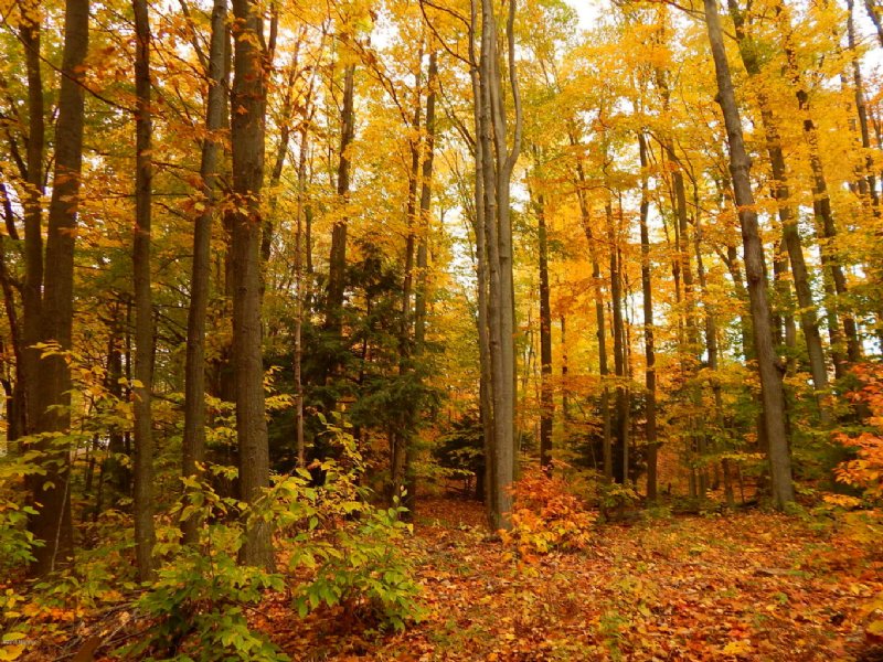 Wonderfully Located Property : Onekama : Manistee County : Michigan