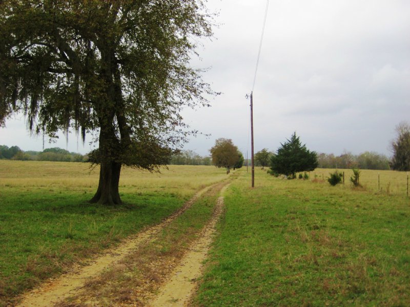Hope Hull, Alabama 190 +/- Acres : Hope Hull : Montgomery County : Alabama