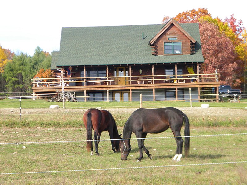 Horse Farm Near Tioga Downs : Barton : Tioga County : New York