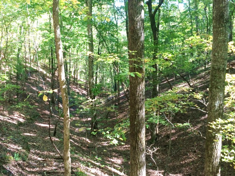Reduced Vinson Mountain Road : Rockmart : Polk County : Georgia