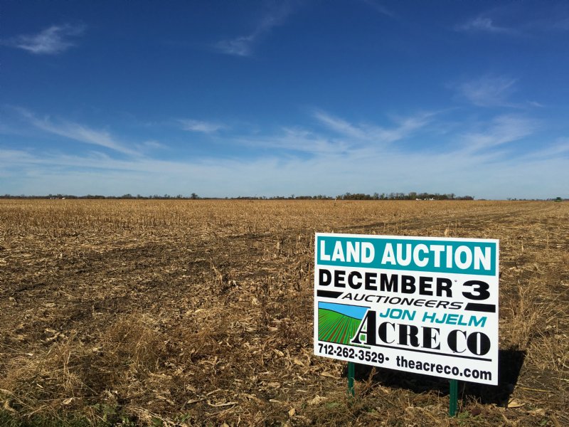 Large Irrigated Farm - 3 Tracts : Modale : Harrison County : Iowa