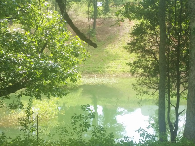 Lake Front Lot - Campers, RVs Ok : Rutledge : Grainger County : Tennessee