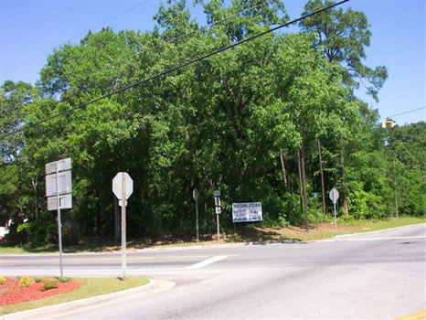 3 Acres : Swainsboro : Emanuel County : Georgia