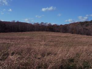 127.00 Acres : Peterstown : Monroe County : West Virginia