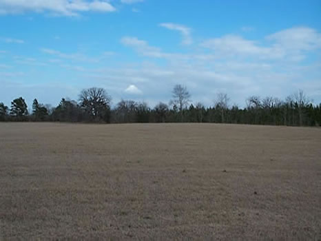 88 Acres : Statesboro : Bulloch County : Georgia