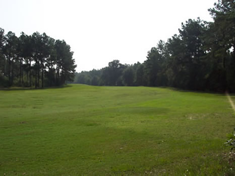 152.56 Acres : Wrightsville : Johnson County : Georgia
