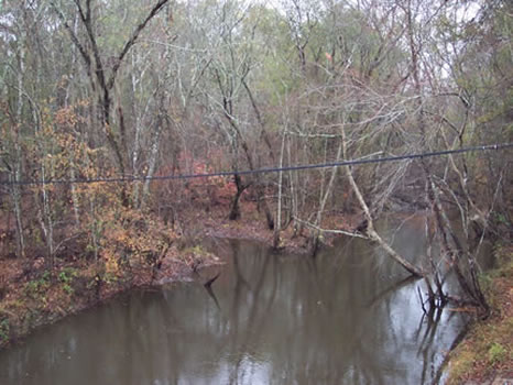 66.04 Acres : Wrightsville : Johnson County : Georgia