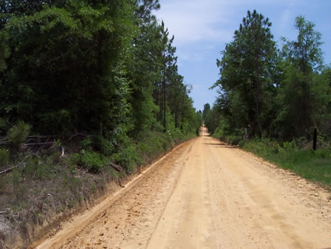 57.69 Acres : Soperton : Treutlen County : Georgia