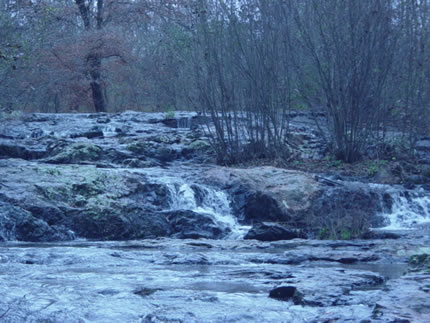30 Acres : Talbotton : Talbot County : Georgia