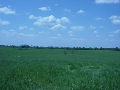 512 Acres : LaGrange : Troup County : Georgia
